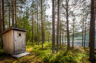 Shed Painting
